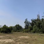  5600m2 - 4
