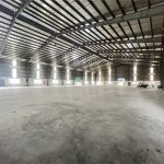  6000m2 - 3