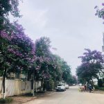  95m2 - 4