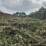  300m2 - 3