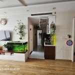 62m2 - 4
