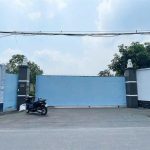  6000m2 - 3