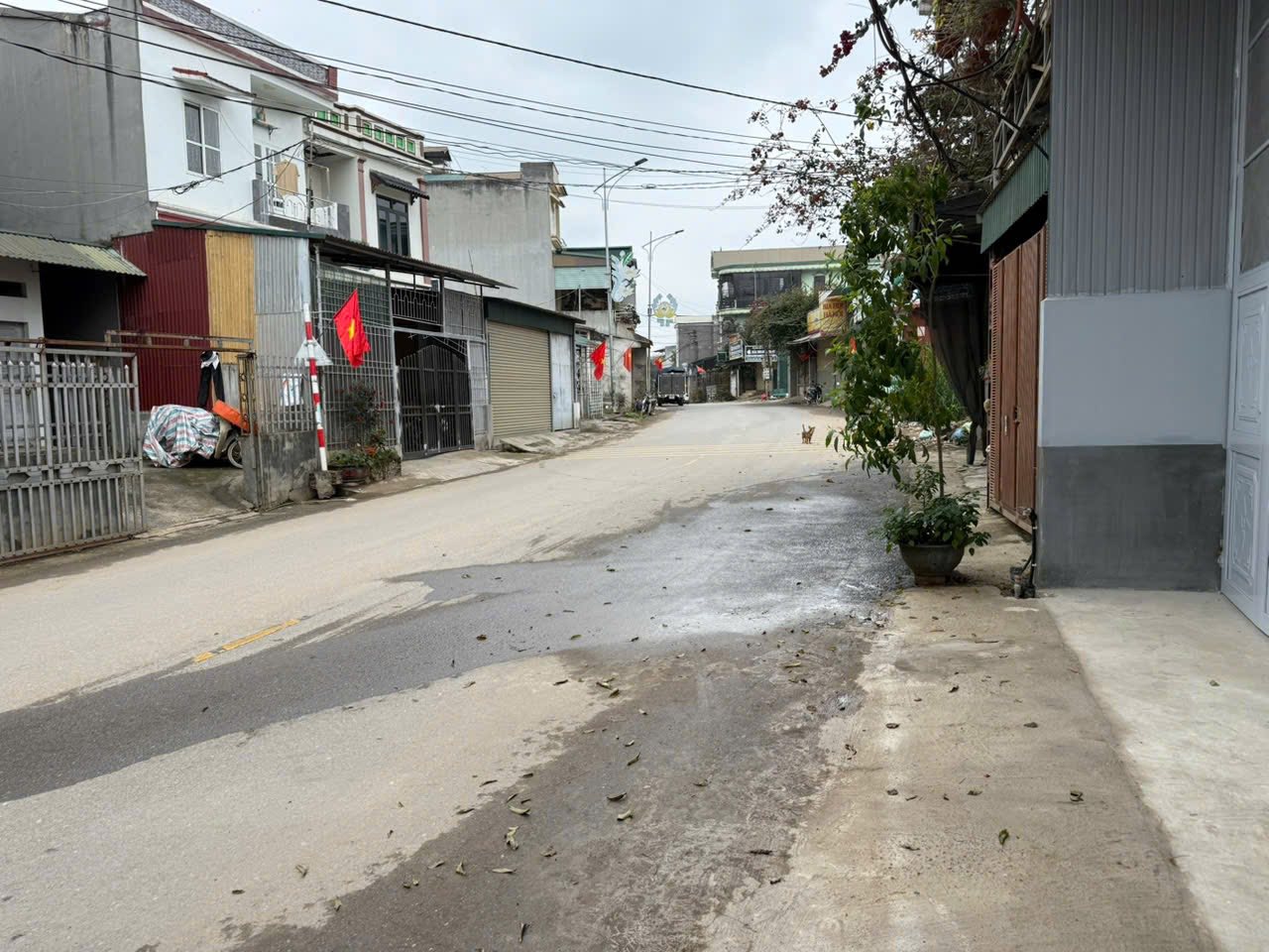 Cần cho thuê Kho Xưởng Mới hoàn thiện Tại Khu Xuân Thành – Phường Phú Thọ.( Đèn đỏ cây 2 )