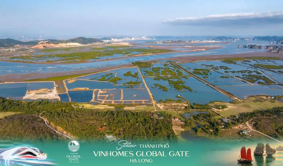 Biệt thự, Liền Kề, Shophouse Ven Vịnh [GIÁ TỐT HƠN 10–15%] QUỸ NGOẠI GIAO GĐ 1 VINHOMES HẠ LONG XANH.