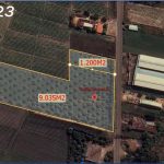  1200m2 - 6