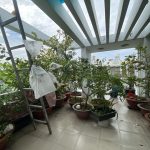  65m2 - 7