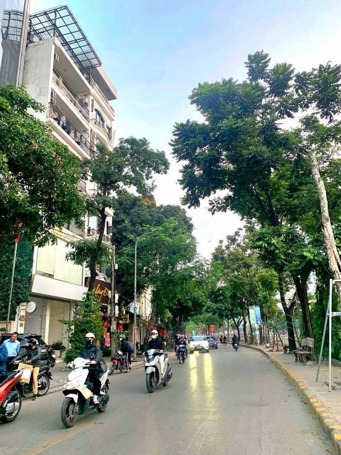 Nhà Mặt Phố. 2 Mặt Ngõ Vũ Tông Phan. Thanh Xuân. Thang Máy. Vỉa Hè. DT 210m2. Giá 128.5 Tỷ