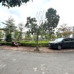  56m2 - 1