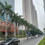  82m2 - 1