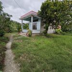  1284m2 - 6