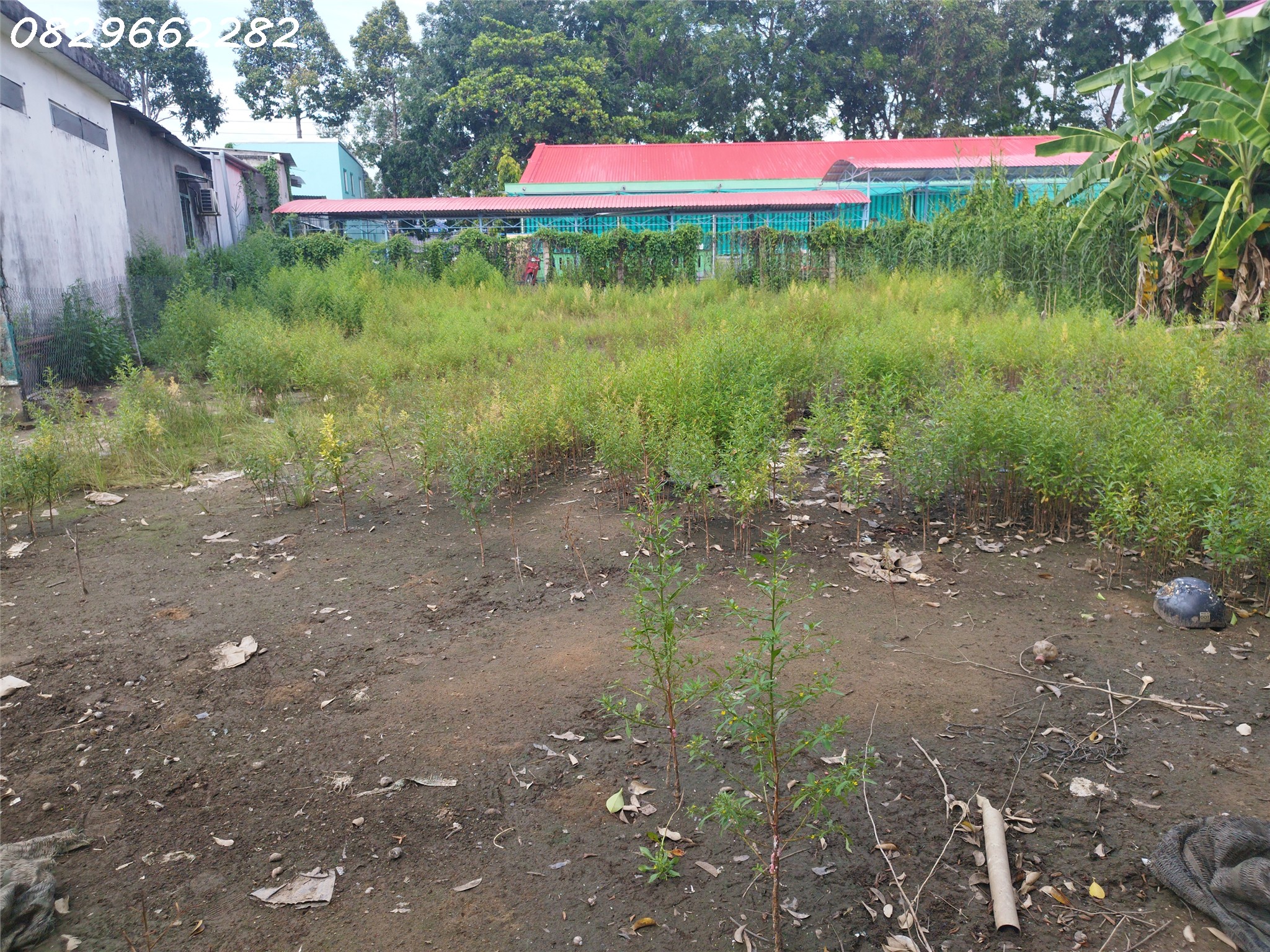 Bán Đất Thổ Cư 547m2 Sổ Hồng đường 848, Tân Khánh Đông, Sa Đéc. Hướng Đông Nam. Giá 2.6 tỷ.
