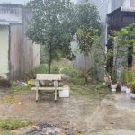  123m2