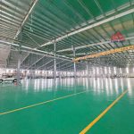  5000m2 - 4