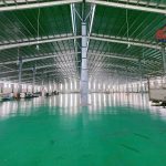  5000m2 - 5