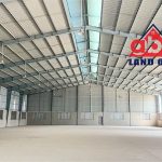  2000m2 - 1