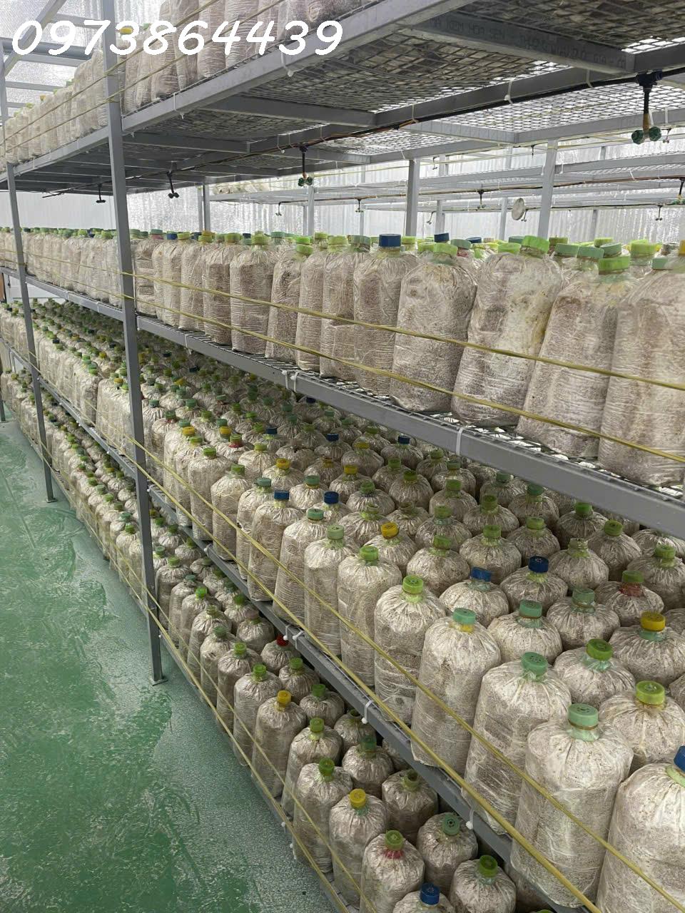 BÁN ĐẤ- TẶNG XƯỞNG NẤM - PIN NĂNG LƯỢNG MẶT TRỜI MẶT TIỀN KINH DOANH - TẠI CỦ CHI - NGANG 18M - 2300M2 - GIÁ 12 TỶ TL