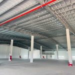  8100m2 - 3