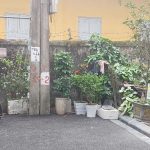  60m2 - 3