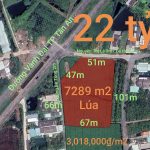  7289m2 - 1