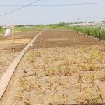  800m2 - 4