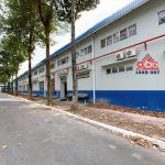  10000m2 - 6