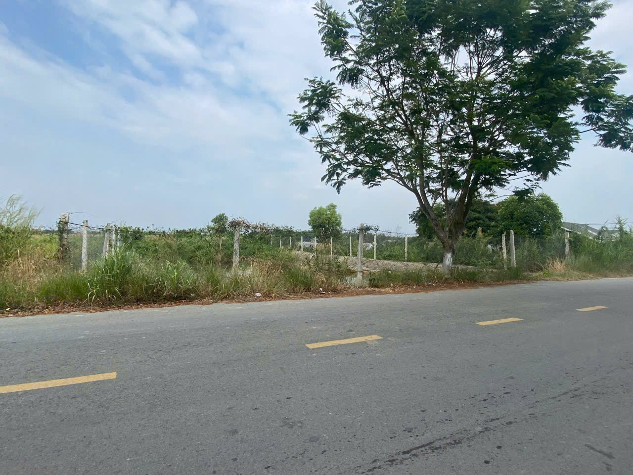 BÁN ĐẤT MẶT TIỀN ĐƯỜNG TAM THÔN HIỆP – CẦN GIỜ, TP.HCM