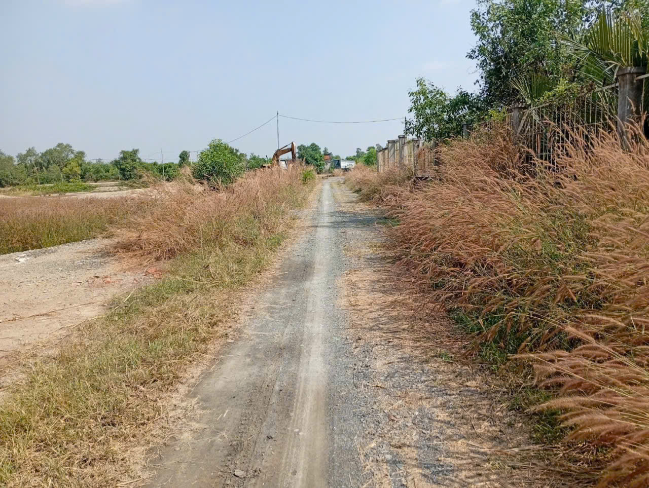 BÁN ĐẤT NUÔI TRỒNG THỦY SẢN – CẦN GIỜ, TP.HCM
