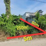  250m2 - 1