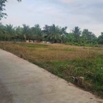  120m2 - 5