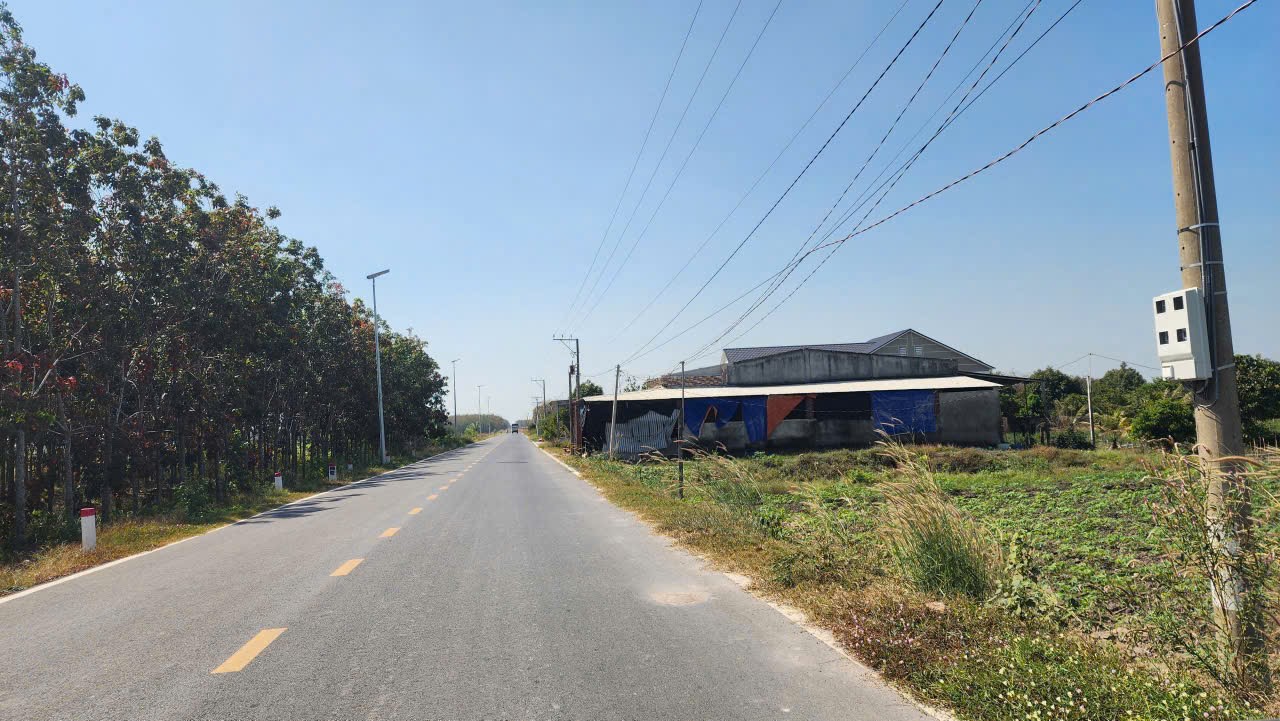 CHÍNH CHỦ BÁN GẤP ĐẤT MẶT TIỀN NHỰA 12M – LONG CHỮ, BẾN CẦU, TÂY NINH
