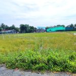  1000m2 - 4