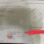  40m2 - 1