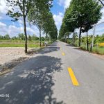  2900m2 - 1