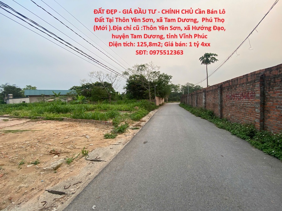 ĐẤT ĐẸP - GIÁ ĐẦU TƯ - CHÍNH CHỦ Cần Bán Lô Đất Tại Thôn Yên Sơn, xã Tam Dương, Phú Thọ (Mới )