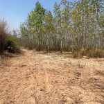  30000m2 - 6