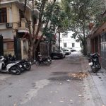  100m2 - 1