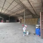  2000m2 - 6