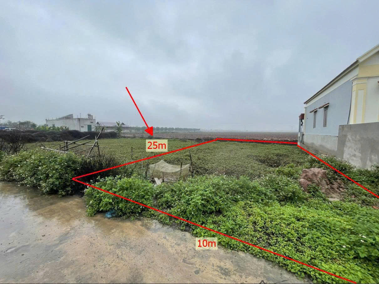 CHÍNH CHỦ CẦN BÁN 250m² ĐẤT THỔ CƯ TẠI XÓM 13, QUANG THIỆN - KIM SƠN - NINH BÌNH