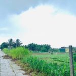  369m2 - 3