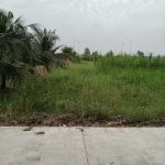  521m2 - 1