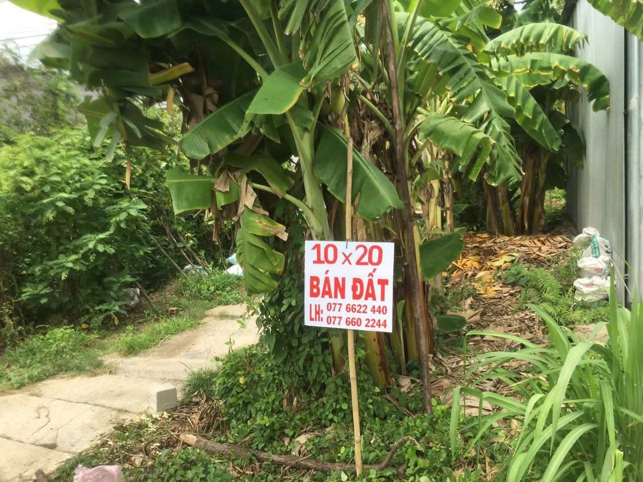 ĐẦU TƯ SINH LỜI - Bán GẤP Lô Đất Tiềm Năng Tại xã Mỹ An-huyện Mang Thit-Tỉnh Vĩnh Long
