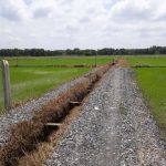  800m2 - 5