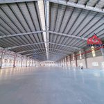 4000m2 - 1