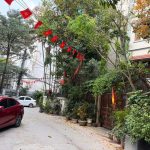  50m2 - 1