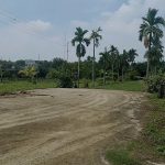  10000m2 - 6
