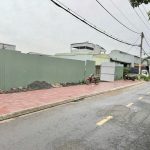  980m2 - 1