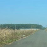  1000m2 - 4