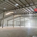 5000m2 - 6