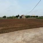  4300m2 - 1