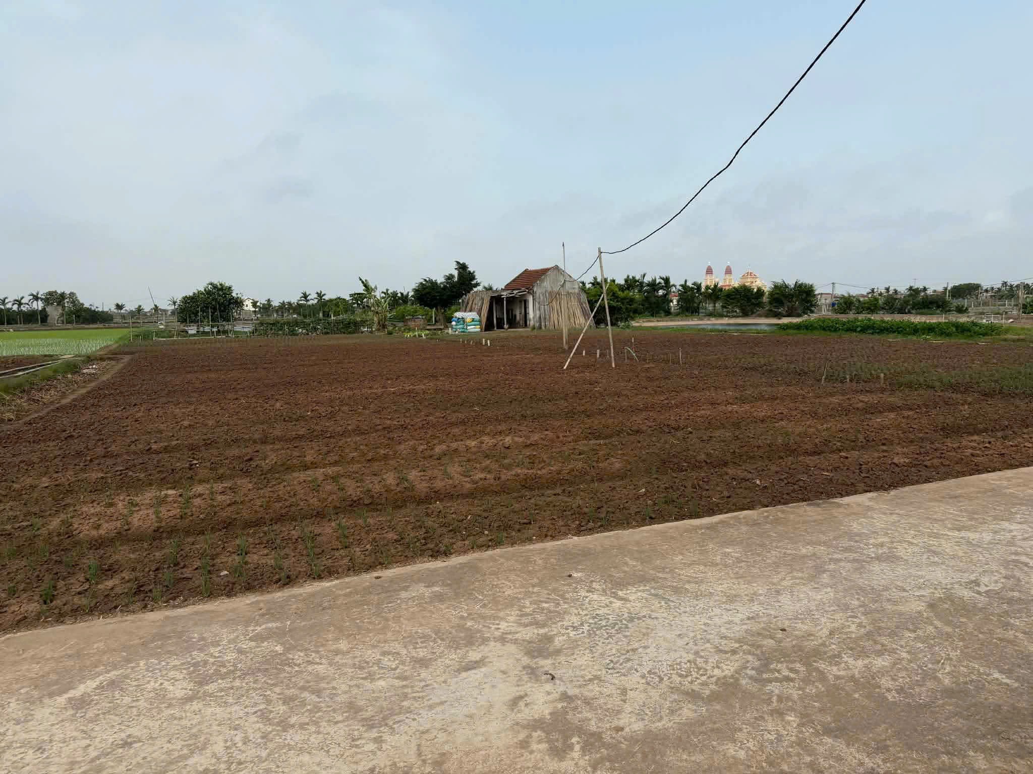 ĐẤT ĐẸP- GIÁ TỐT CHÍNH CHỦ CẦN BÁN NHANH LÔ ĐẤT TIỀM NĂNG tại huyện Hải Hậu tỉnh Nam Định
